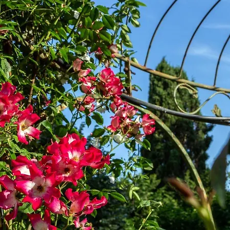 R22 - Casa Geranio Delizioso Appartamentino 마르첼리