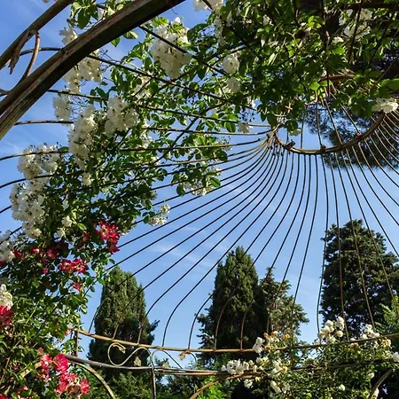 R22 - Casa Geranio Delizioso Appartamentino 마르첼리