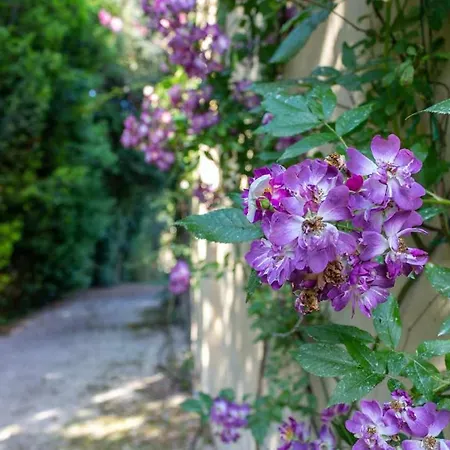 R22 - Casa Geranio Delizioso Appartamentino * Marcelli